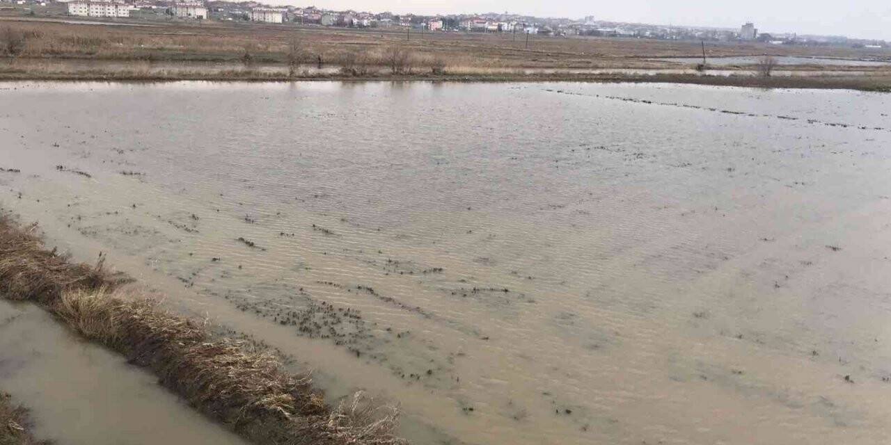 Ergene Nehri taştı, tarım arazileri su altında kaldı