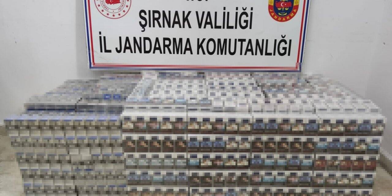 Şırnak’ta son bir haftada kaçakçılık ve asayiş suçundan 62 gözaltı
