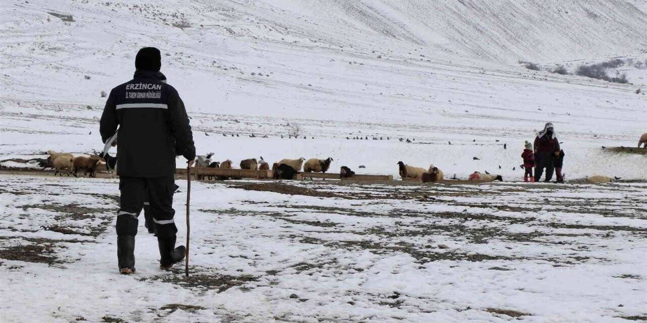 Karlı yolları aşıp besicilere ulaşıyorlar