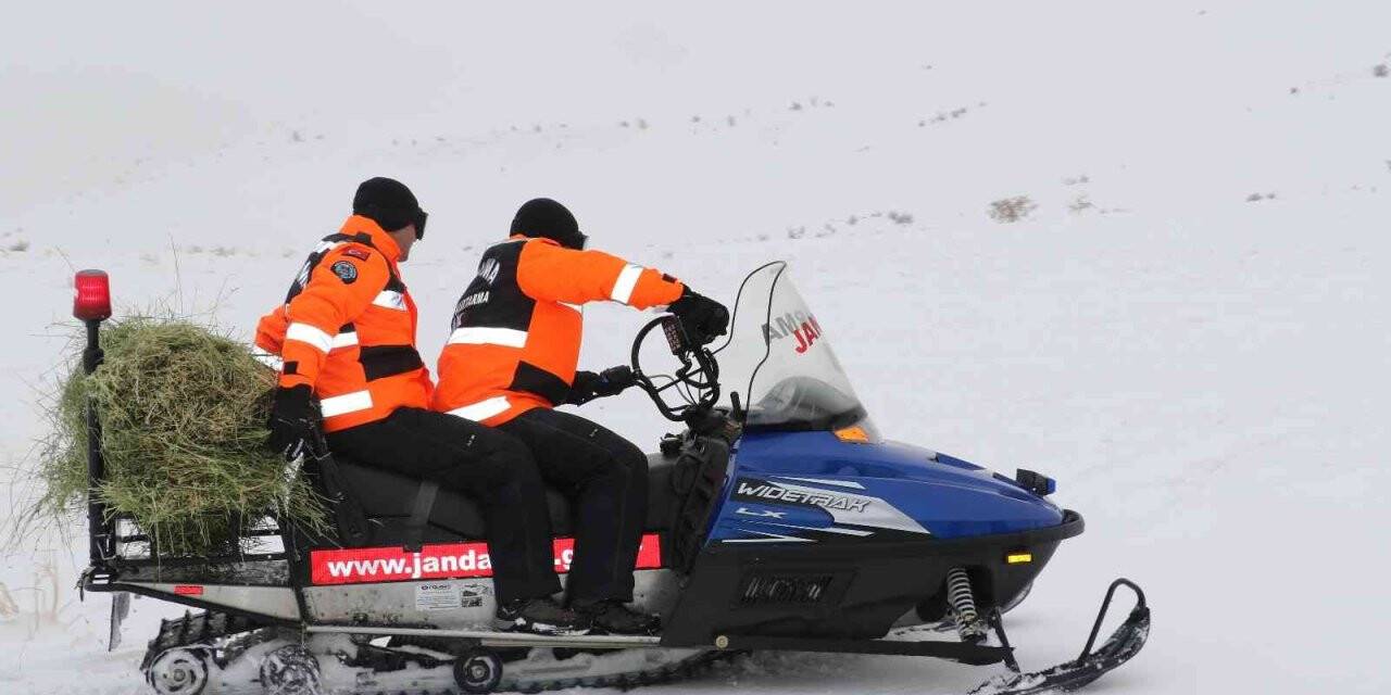 JAK ve HAYDİ ekipleri yaban hayatı için seferber oldu
