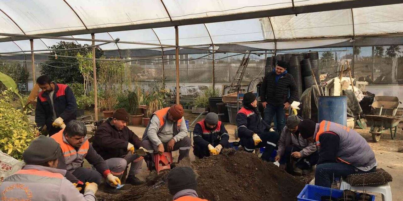 Döşemealtı’nda bakıma alınan fidanlar toprakla buluşacak