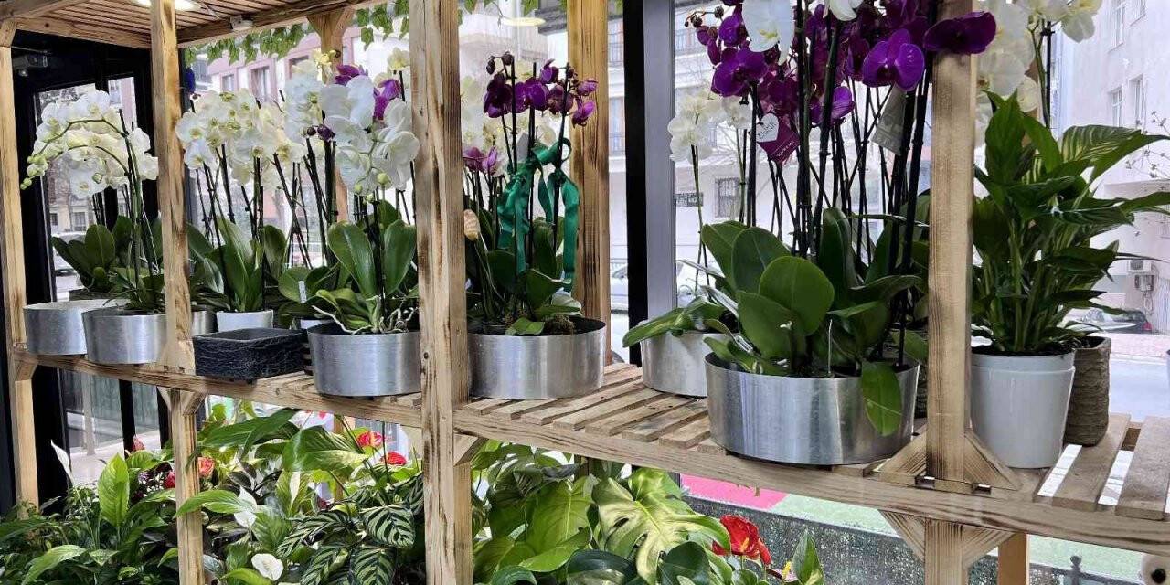 "Sevgililer Günü’nde en ucuz gül 30 TL’den satılacak"