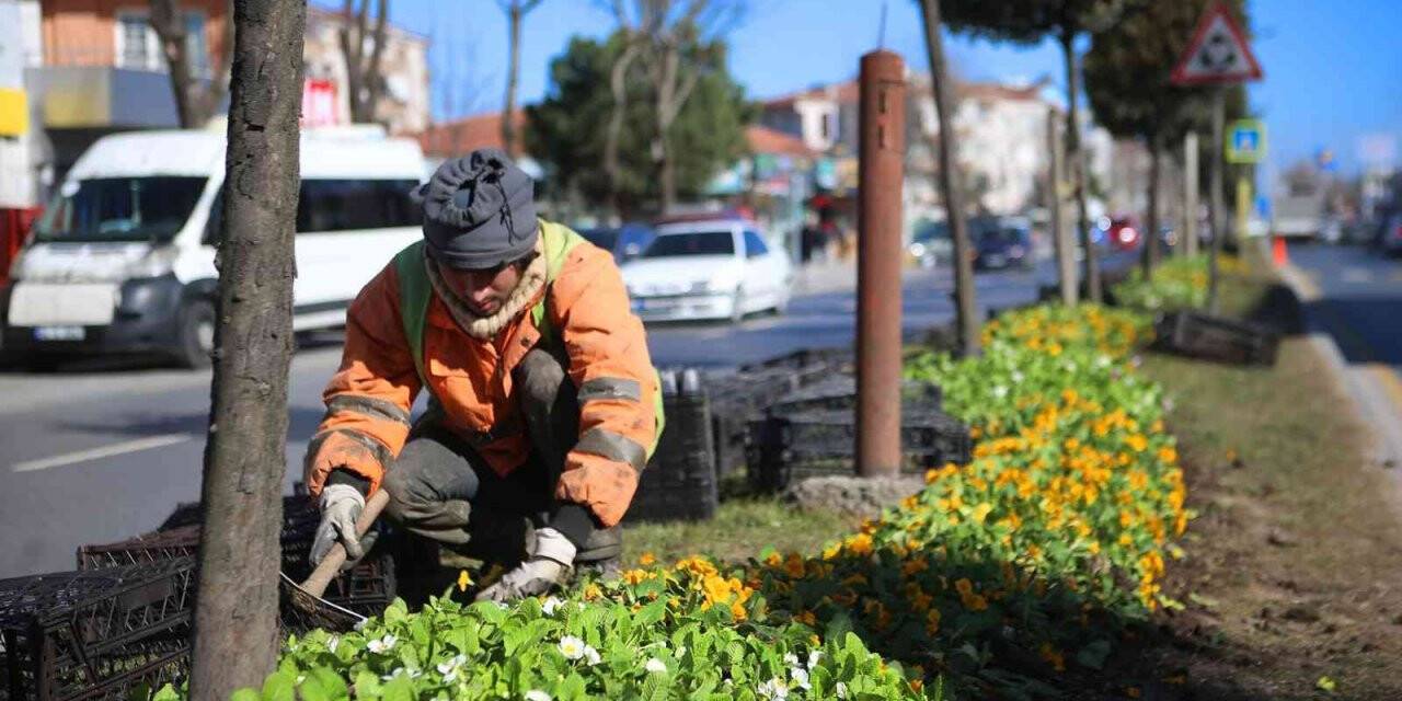 Şehrin sokakları rengarenk çiçek bahçesine dönüşüyor
