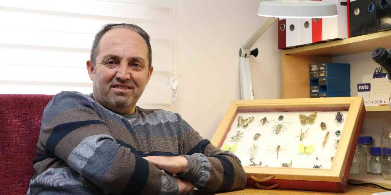 Yenilebilir böcekler gıda kıtlığına alternatif olabilir