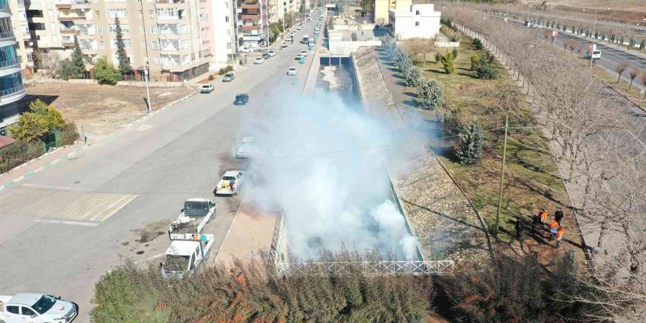 Büyükşehirden vektörle mücadele çalışması