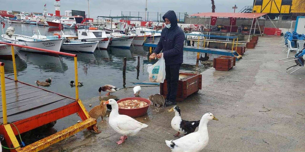 Karidesi soğuk vurdu