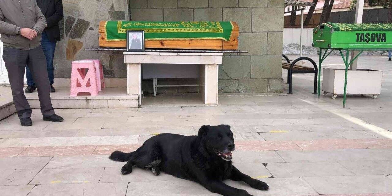 Ölen sahibinin tabutunun başından biran olsun ayrılmadı