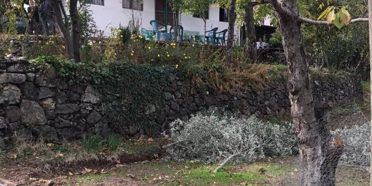 Kırılan su borusu nedeniyle işlenen cinayetin ikinci duruşması görüldü