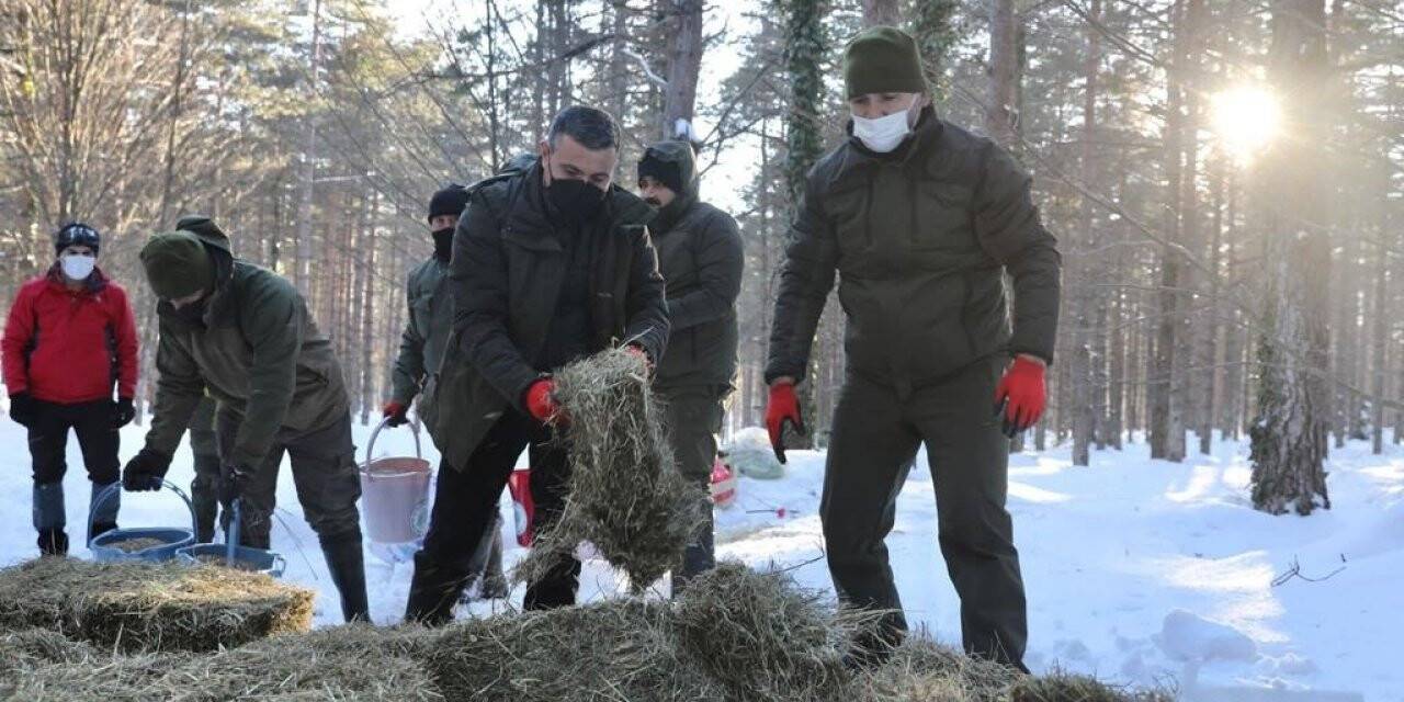 Vali Atay ve beraberindekiler, yaban hayvanları için yem bıraktı