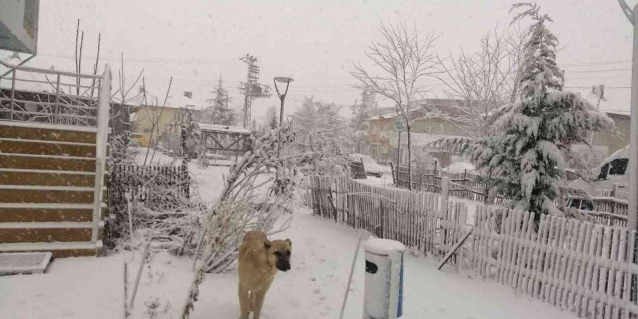 Bilecik’te kar yağışı etkili oluyor