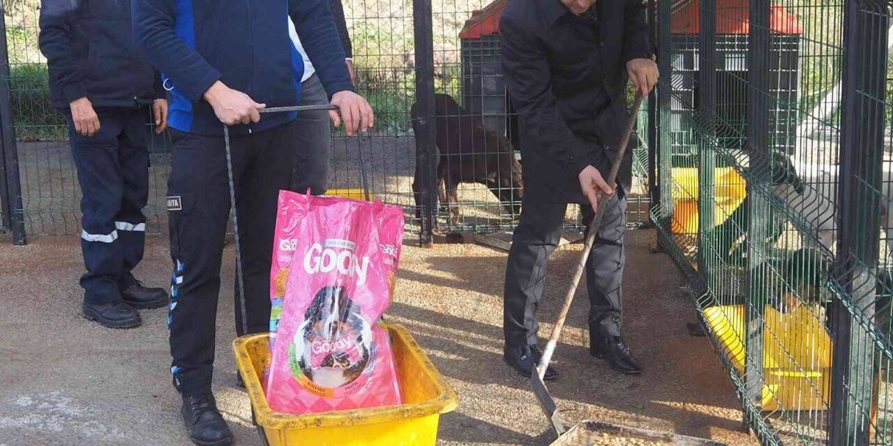 Başkan Kaçar’dan rehabilitasyon ve besleme alanında inceleme