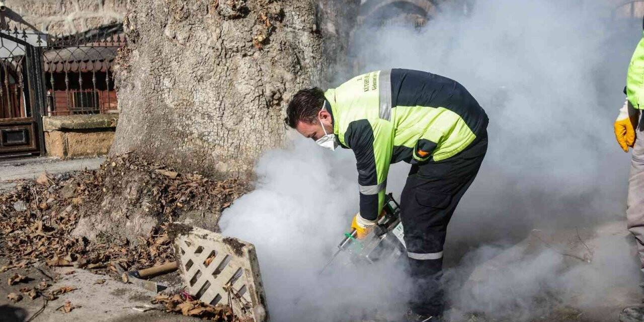 Kütahya’da haşerelere karşı etkin mücadele