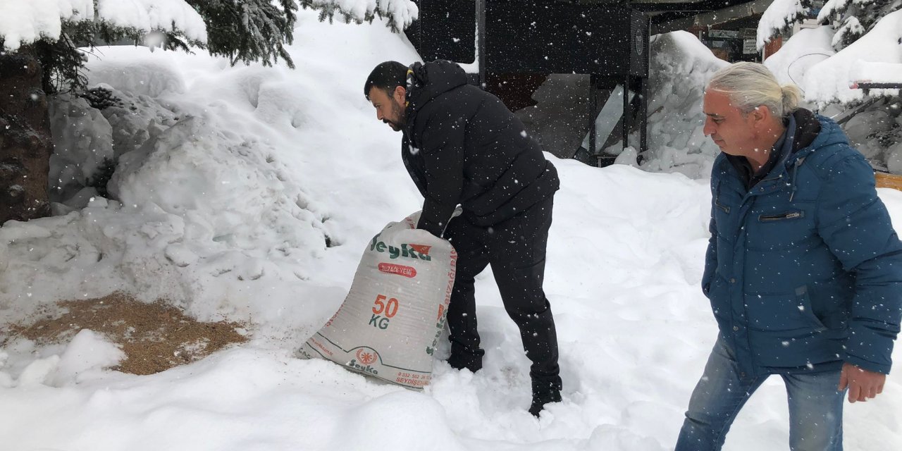 Seydişehir'de yem bulamakta zorlanan kuşlar için doğaya yem bırakıldı