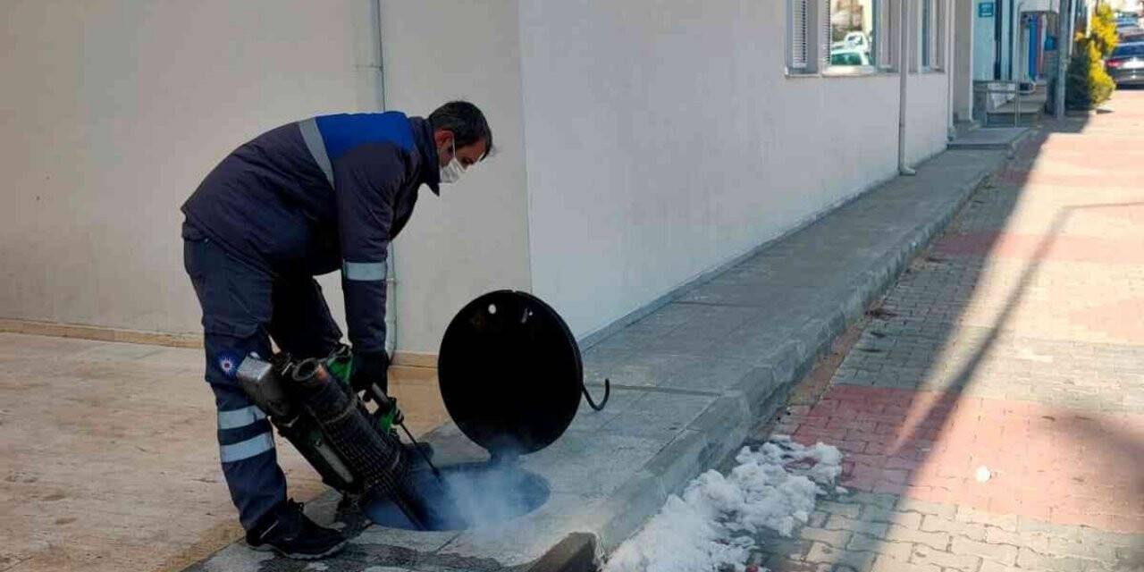 Büyükşehirden 19 ilçede, 1312 personel ile sinekle mücadele