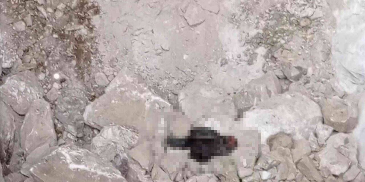 Hazine bulmak için siyah tavuk kesip kuyuya indiler