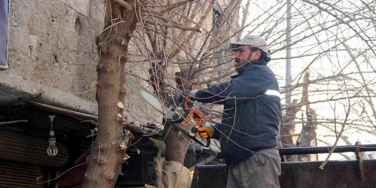 Parklar, refüjler, bulvarlar güzelleştiriliyor