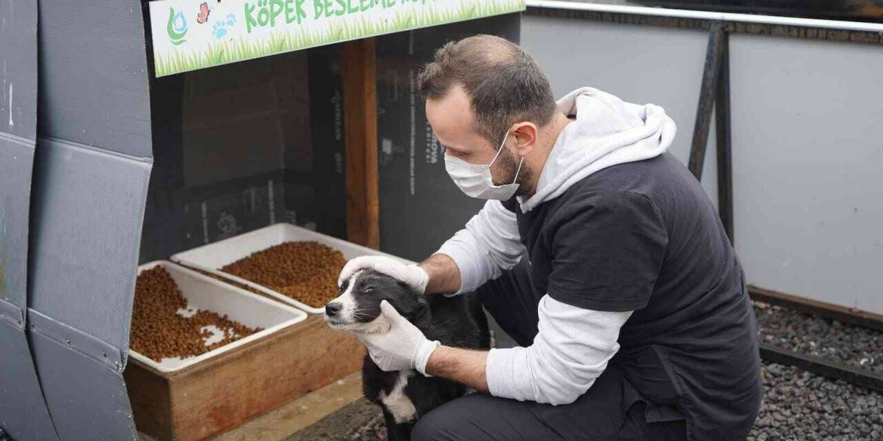 Çayırova Belediyesi’nden sokak hayvanlarına destek