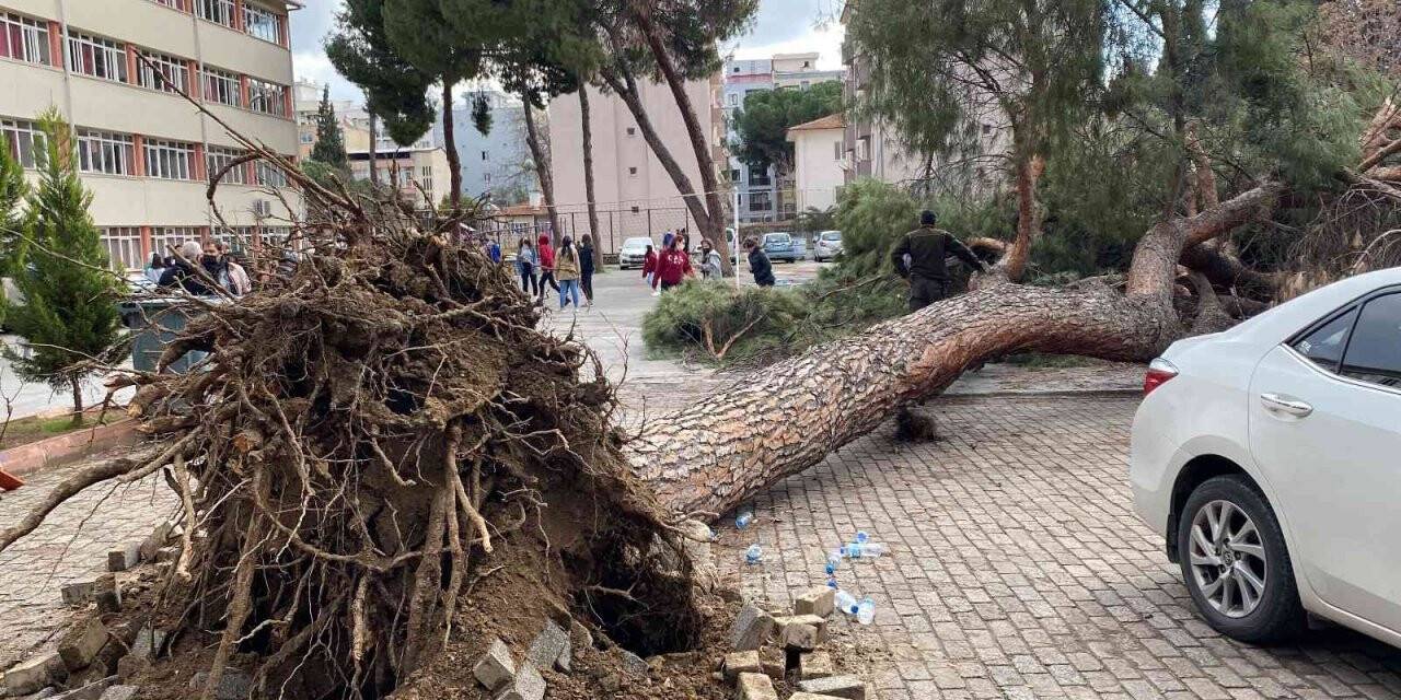 Aydın’da facia teğet geçti