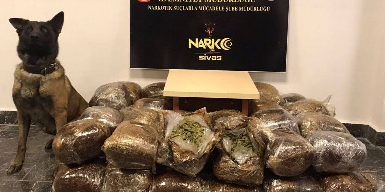 Otobüste 57 kilo 300 gram esrar ele geçirildi