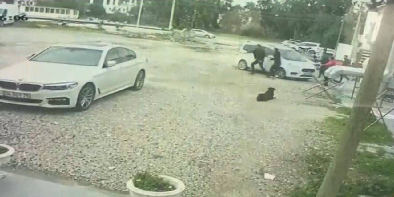 Bodrum’da güpegündüz öldüresiye darp