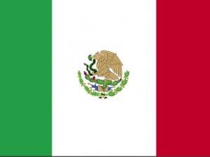 Meksika Tropik Fırtına Boris'e Hazırlanıyor