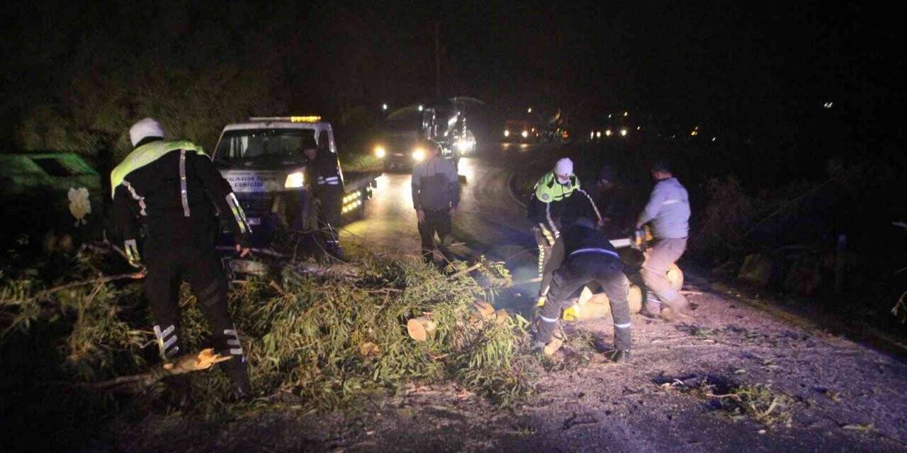 Bodrum’da yıkılan ağaçlar yolları kapattı
