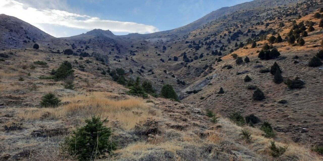 Afşin’de yılda 300 bin ton gümüş, çinko ve kurşun çıkarılacak