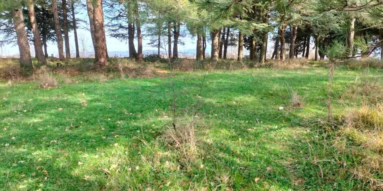 Çiftlikköy’e yeni mesire ve piknik alanları kazandırılacak