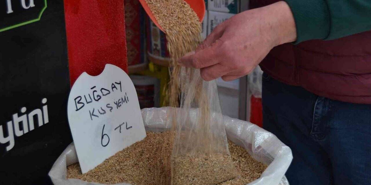 Zamlardan kuşlar da nasibini aldı