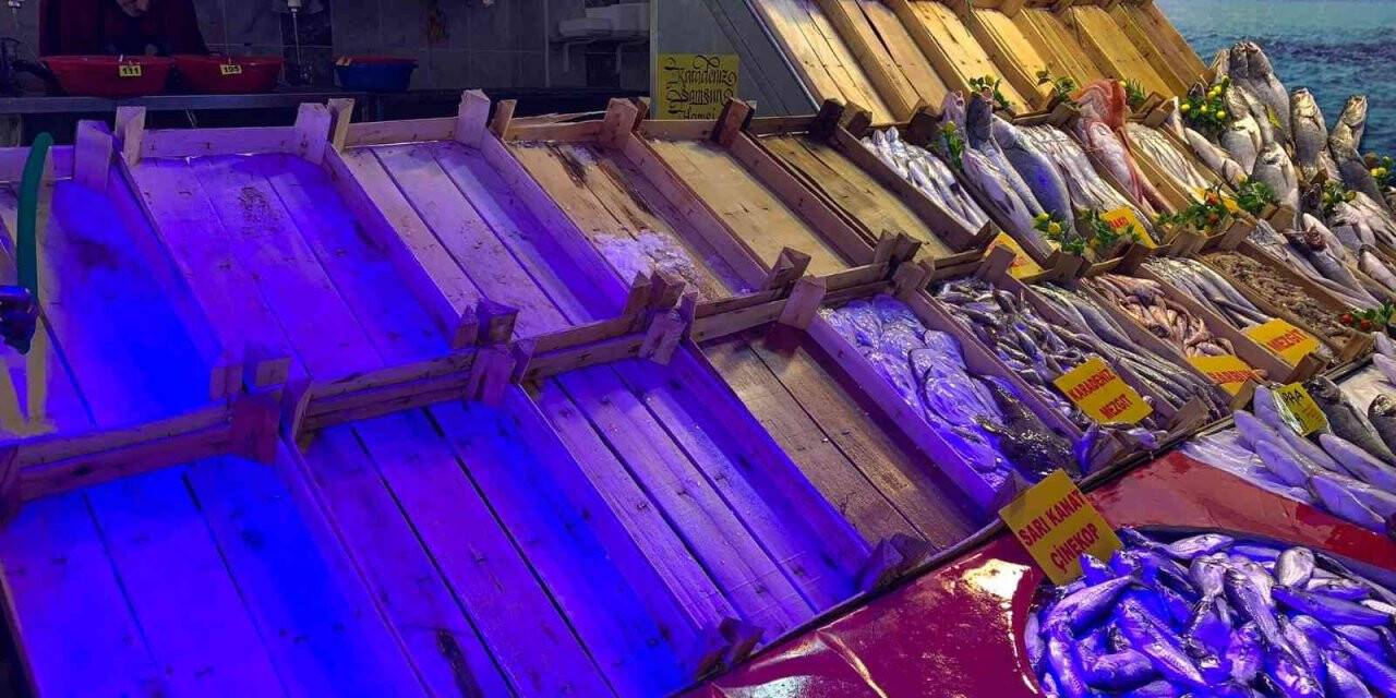 Balığa fırtına vurdu