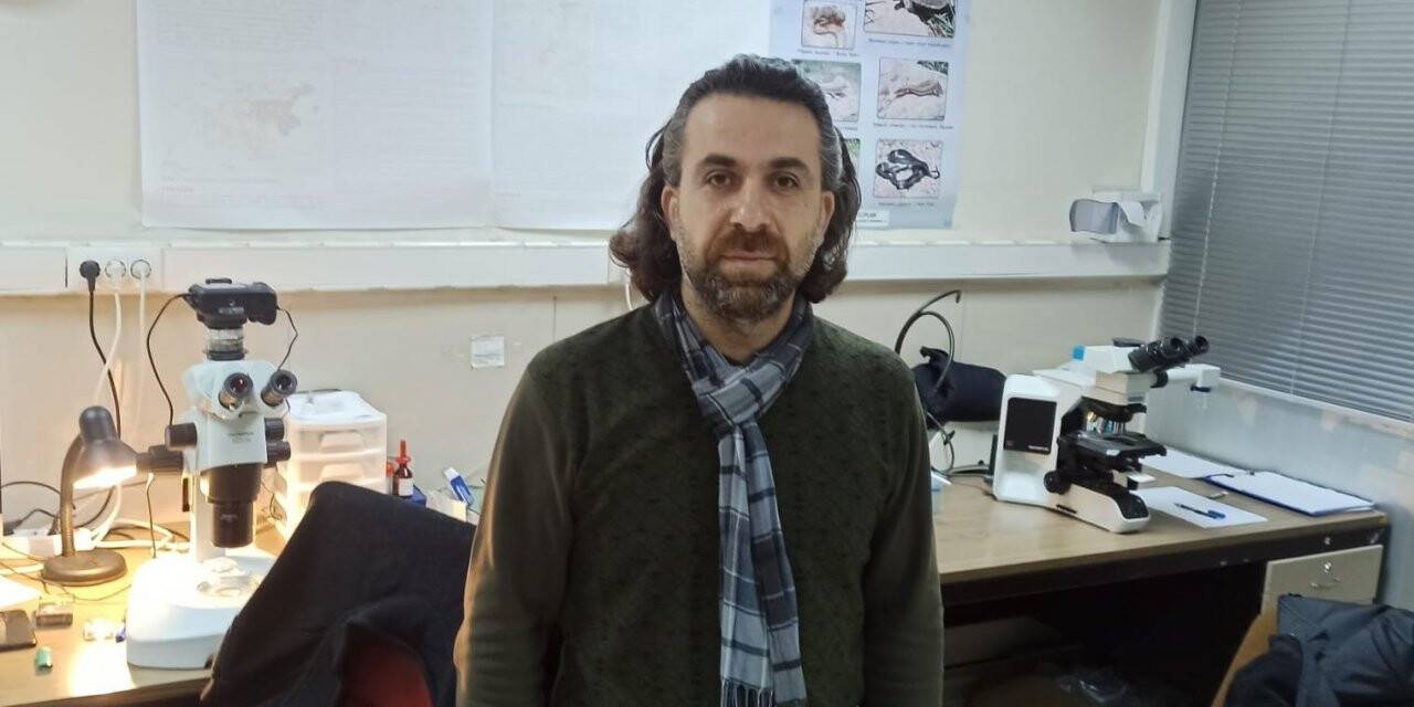 Kar üzerinde görüntülenen yılan bilim dünyasını şaşırttı