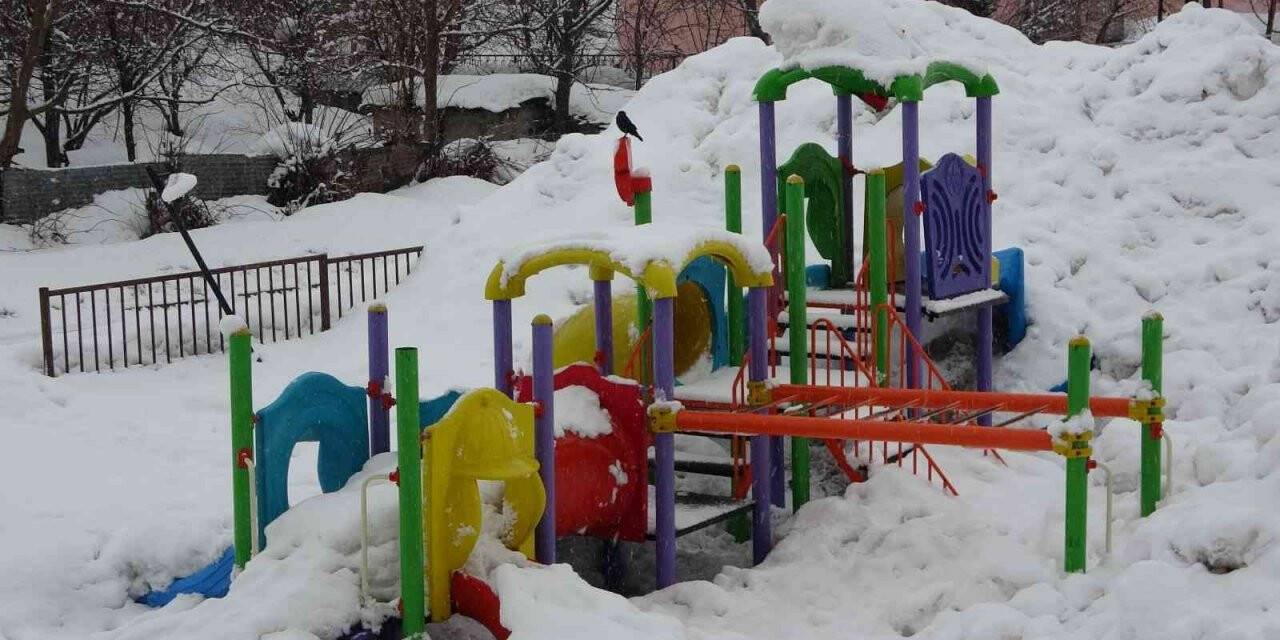 Bitlis’te 67 köy yolu ulaşıma kapandı