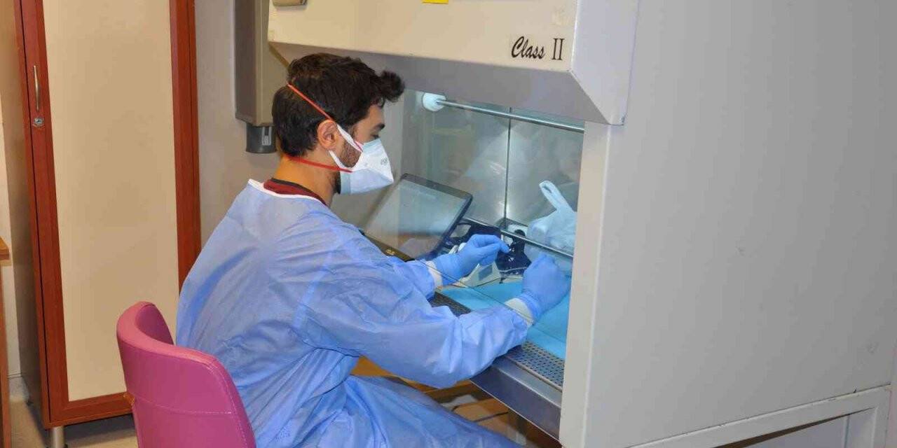 Akciğer kanserinde immünoterapi SGK tarafından ödeme kapsamına alındı