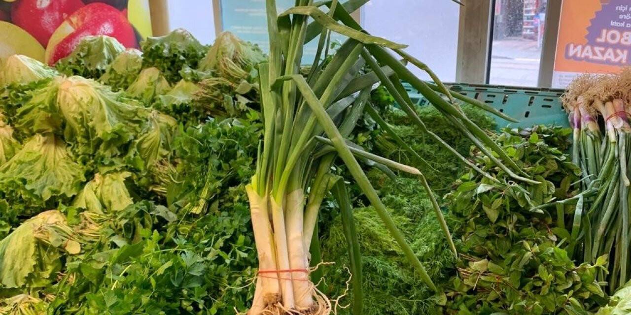 Taze soğanın tek bir dal fiyatı nerdeyse 1 lirayı buldu