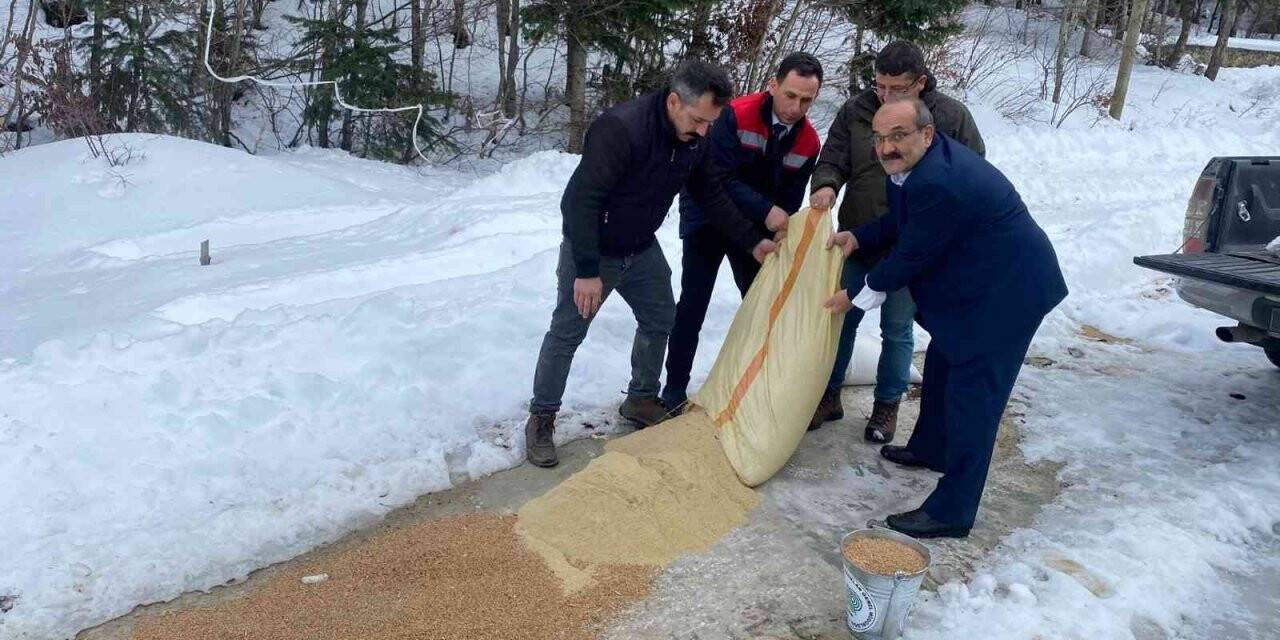 Yaban hayvanları için doğaya yem bırakıldı