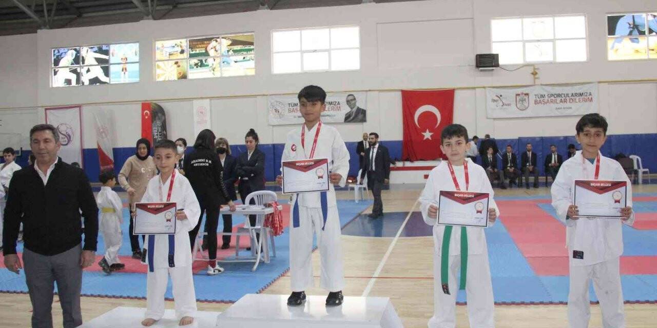 Karatede madalyalar sahiplerini buldu