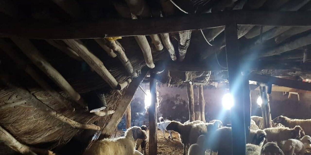 Karaman’da karın ağırlığına dayanamayan ağılının çatısı çöktü