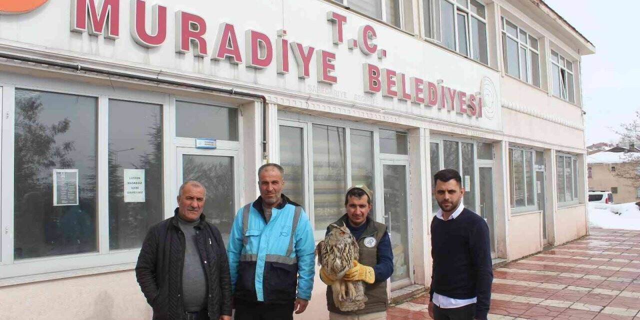 Yaralı Puhuya belediye ekipleri sahip çıktı