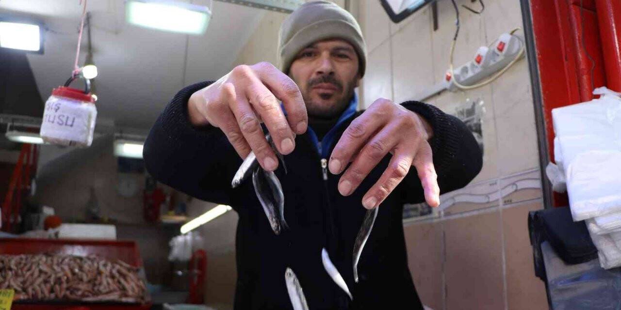 Kulağına kar suyu kaçan hamsiye vatandaştan yoğun talep