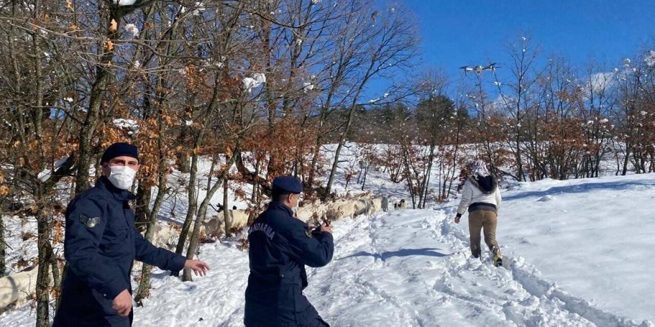 Çanakkale’de kayıp keçiler drone yardımı ile bulundu