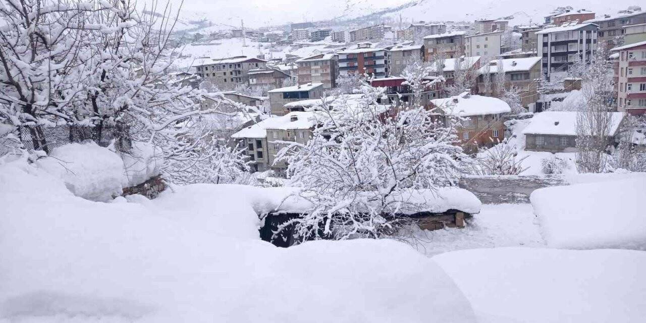 Hakkari’de 239 yerleşim yerinin yolu kapandı