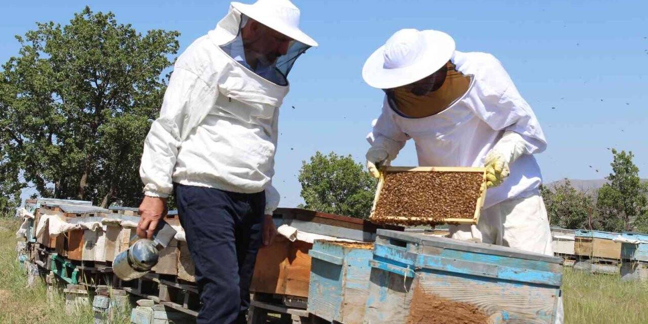 Sert geçen kış ve yaşanan kar yağışı arıcıları sevindirdi, verimli bir sezon bekleniyor