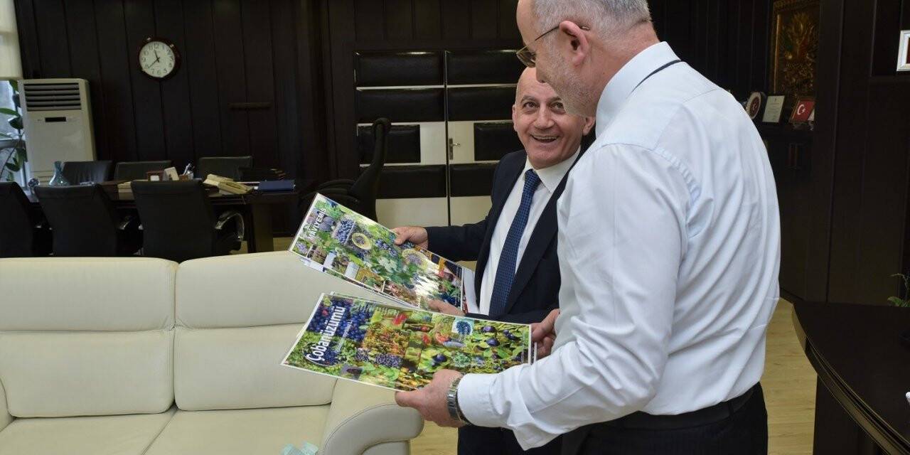 OMÜ, maviyemişi ülke ekonomisine kazandırdı