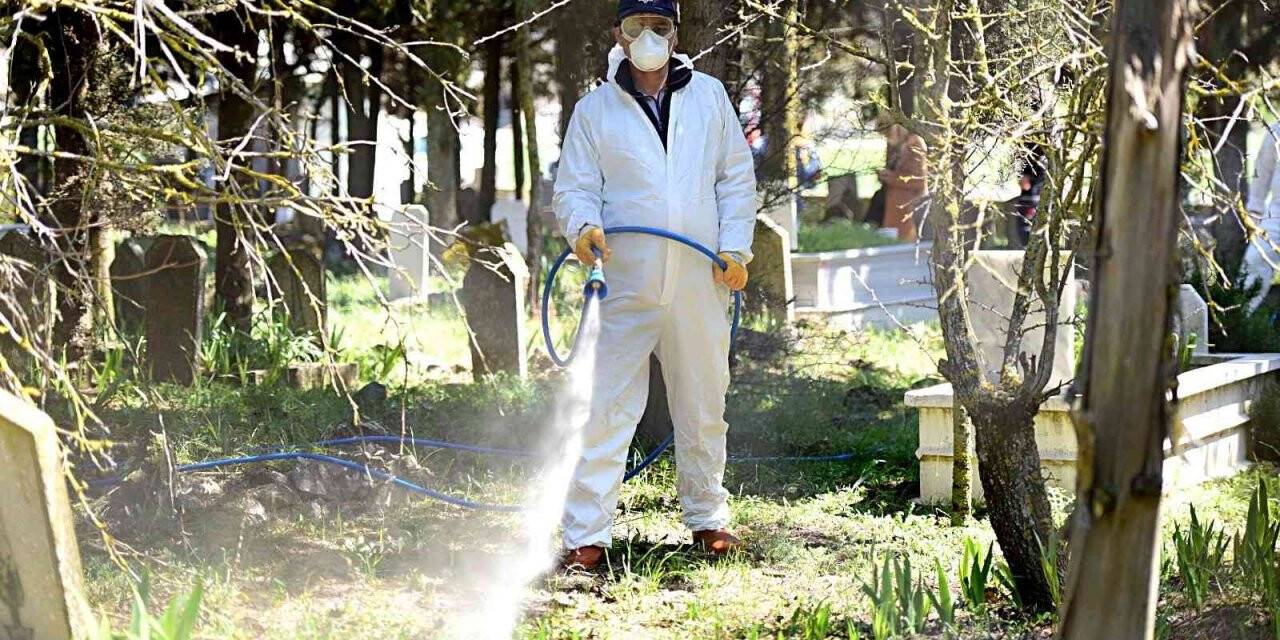 Karesi’de haşereyle mücadele kesintisiz sürüyor