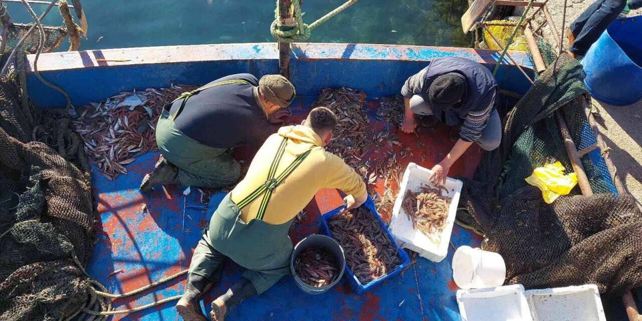Marmara’da kıyı balıkçılarının umudu karides