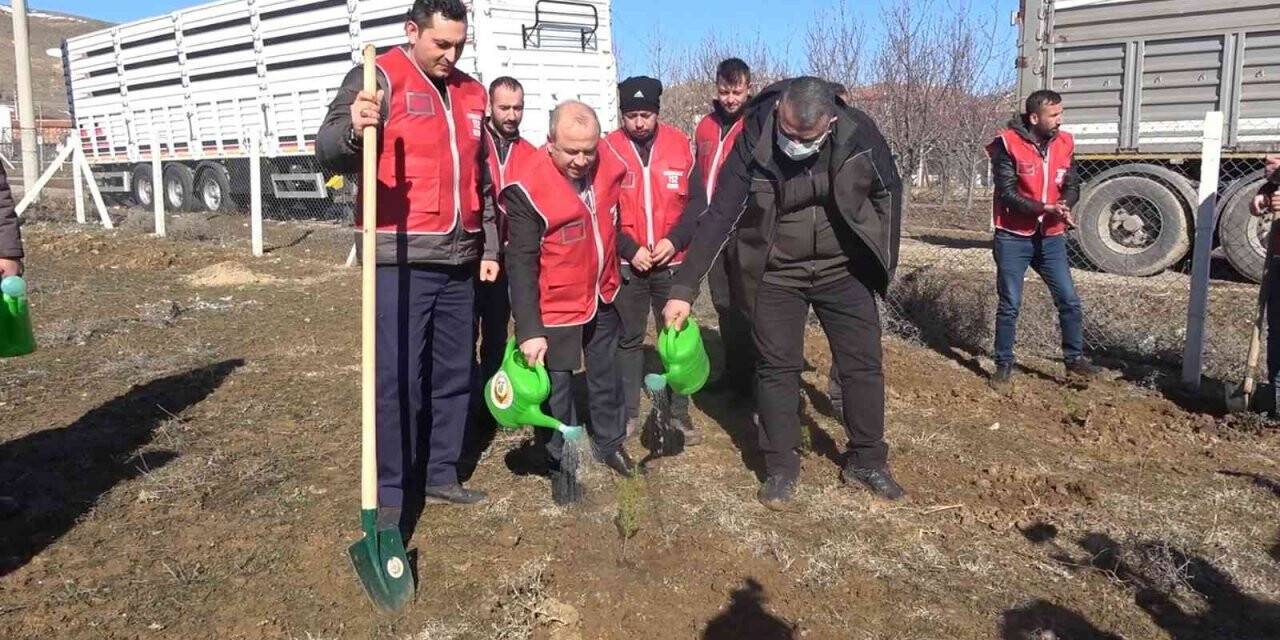 112 fidan 112 saniyede toprakla buluşturuldu