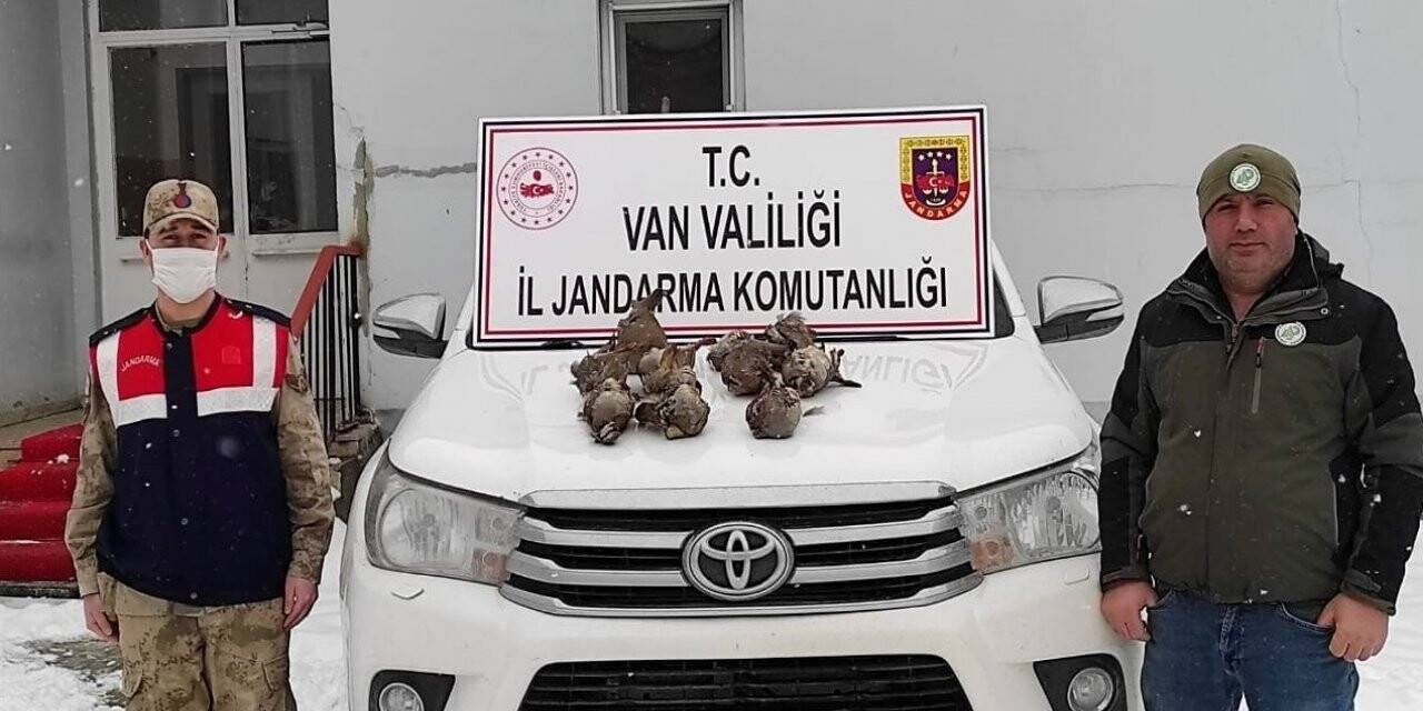 Yasadışı avlanan şahıs jandarmaya takıldı