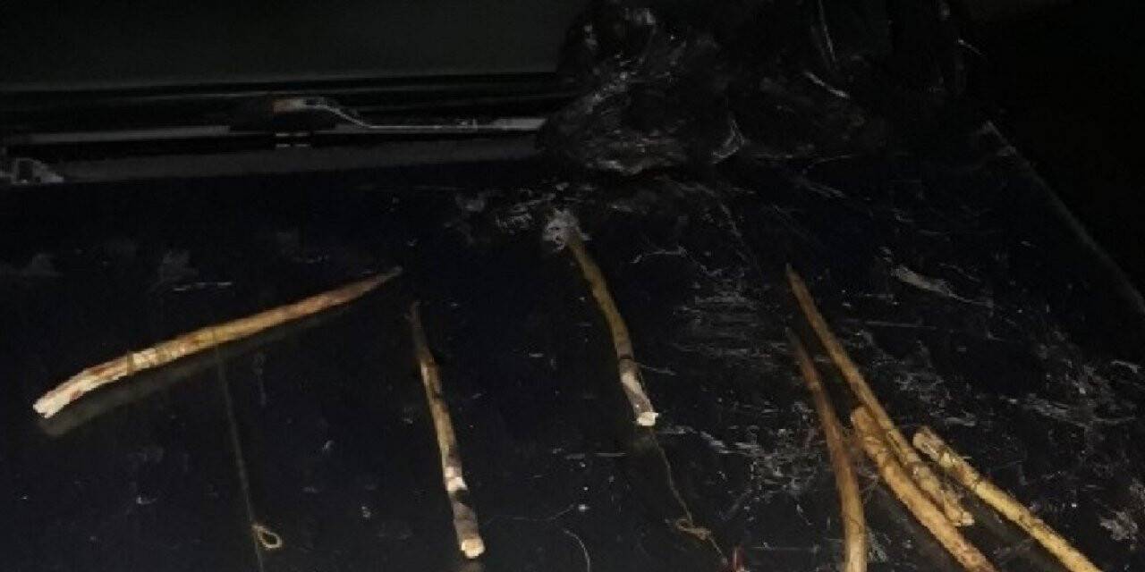 Koruma altındaki ökse ardıç kuşu avlayan şahsa 8 bin 709 lira ceza