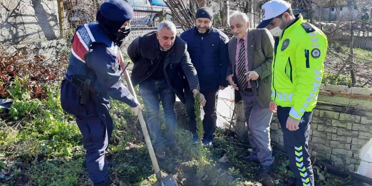 Şehit babası 3 binin üzerinde fidan dikti