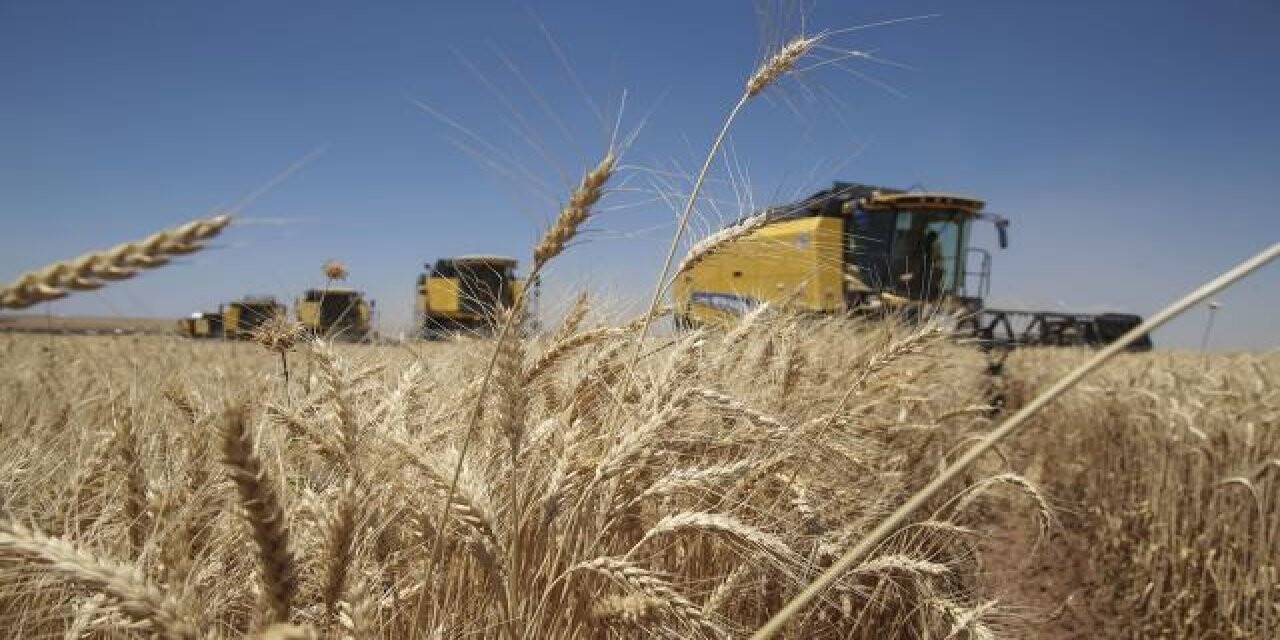 Destek ödemeleri çiftçilerin hesaplarına yatırılacak